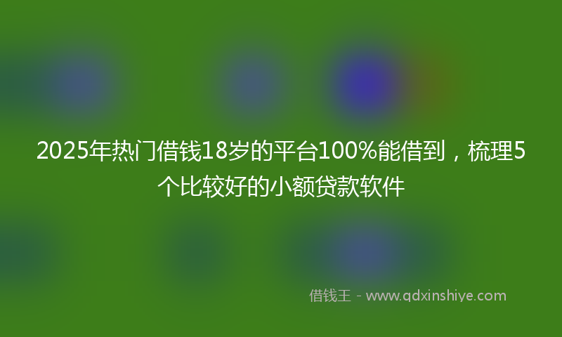 2025年热门借钱18岁的平台100%能借到，梳理5个比较好的小额贷款软件