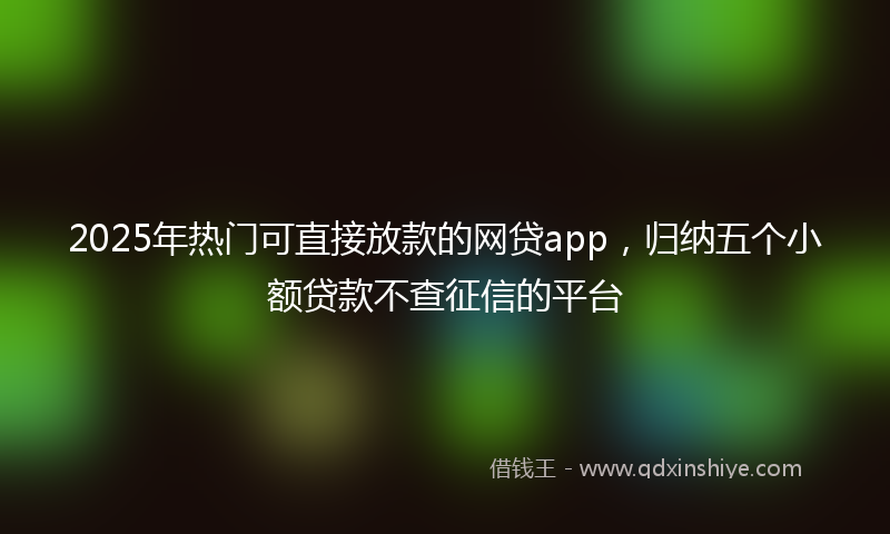 2025年热门可直接放款的网贷app，归纳五个小额贷款不查征信的平台