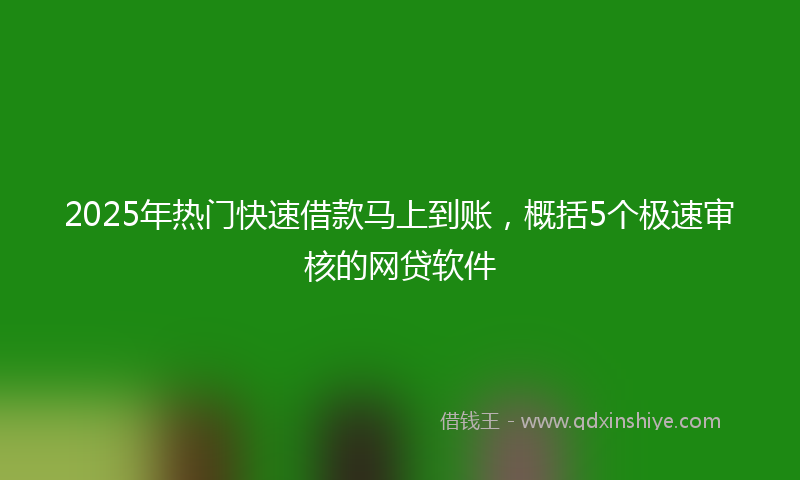 2025年热门快速借款马上到账，概括5个极速审核的网贷软件