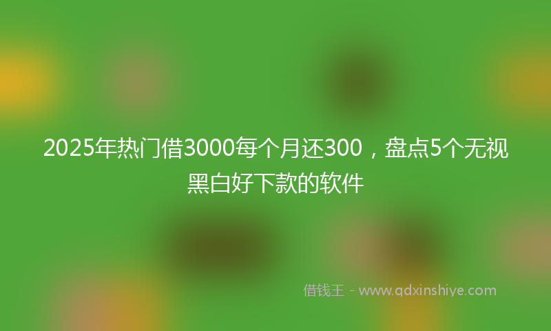 2025年热门借3000每个月还300，盘点5个无视黑白好下款的软件