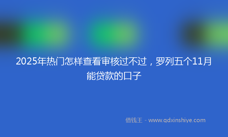 2025年热门怎样查看审核过不过，罗列五个11月能贷款的口子