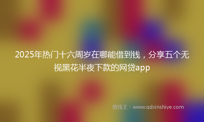 2025年热门十六周岁在哪能借到钱，分享五个无视黑花半夜下款的网贷app