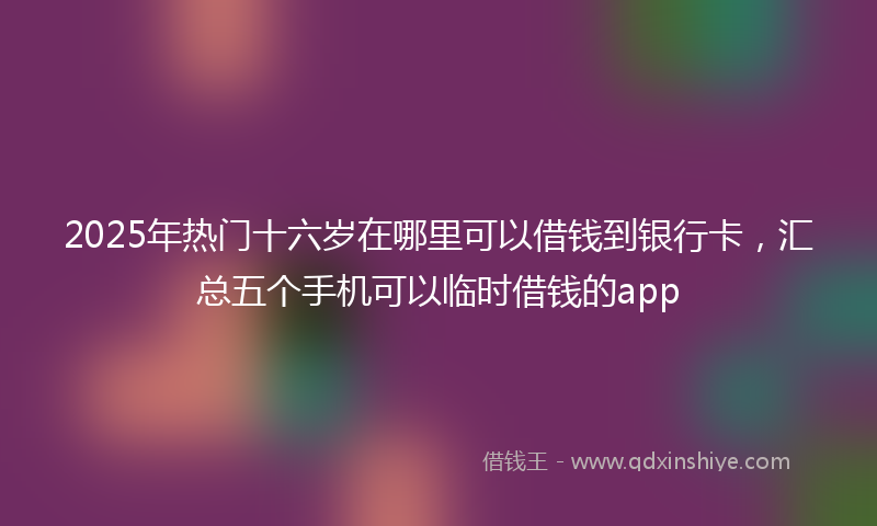 2025年热门十六岁在哪里可以借钱到银行卡，汇总五个手机可以临时借钱的app