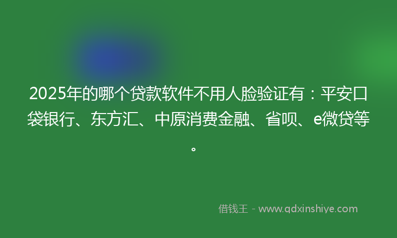 2025年的哪个贷款软件不用人脸验证有：平安口袋银行、东方汇、中原消费金融、省呗、e微贷等。