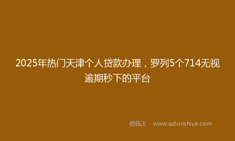2025年热门天津个人贷款办理，罗列5个714无视逾期秒下的平台