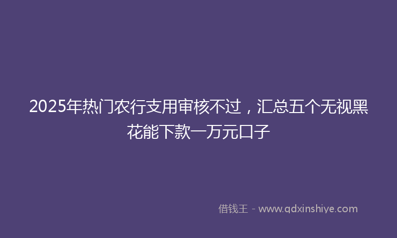 2025年热门农行支用审核不过，汇总五个无视黑花能下款一万元口子
