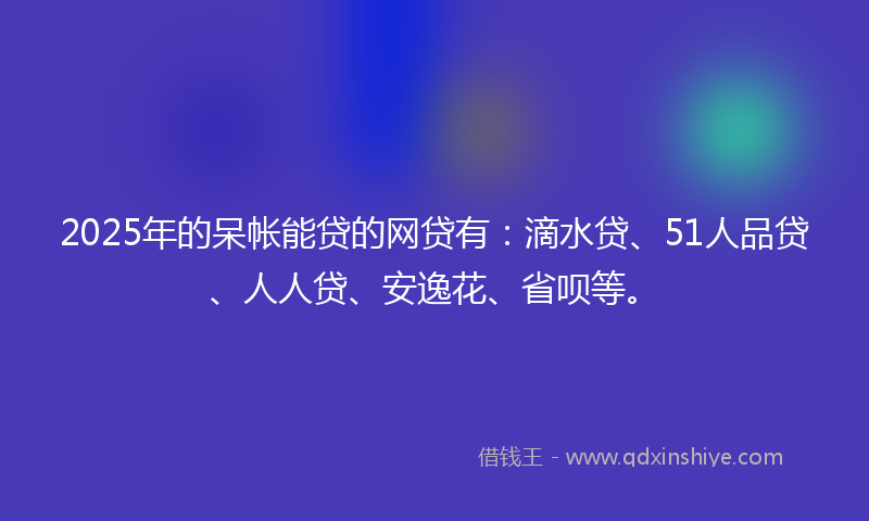 2025年的呆帐能贷的网贷有：滴水贷、51人品贷、人人贷、安逸花、省呗等。