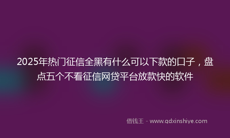 2025年热门征信全黑有什么可以下款的口子，盘点五个不看征信网贷平台放款快的软件