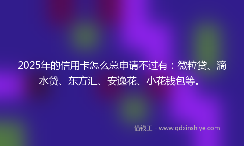 2025年的信用卡怎么总申请不过有：微粒贷、滴水贷、东方汇、安逸花、小花钱包等。