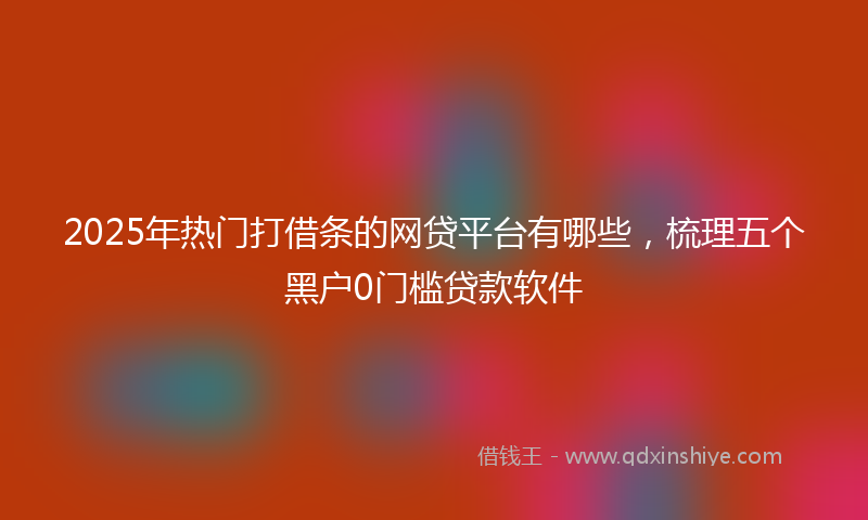 2025年热门打借条的网贷平台有哪些，梳理五个黑户0门槛贷款软件