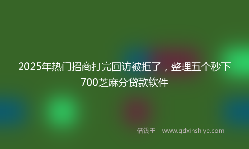 2025年热门招商打完回访被拒了，整理五个秒下700芝麻分贷款软件