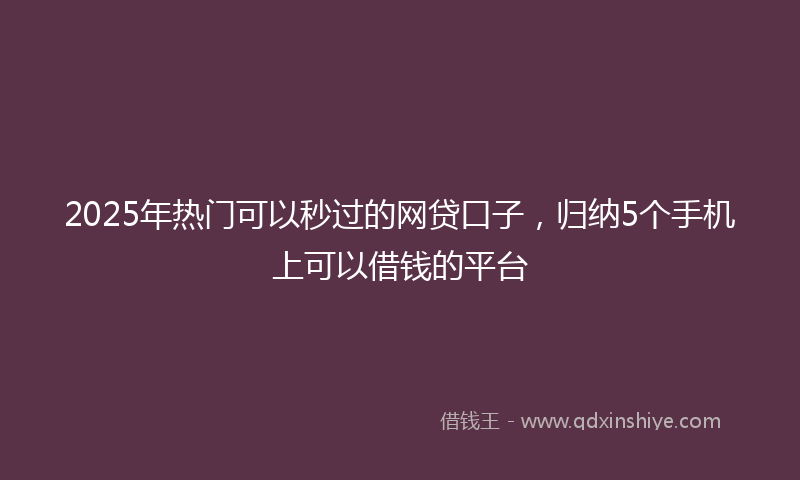 2025年热门可以秒过的网贷口子，归纳5个手机上可以借钱的平台