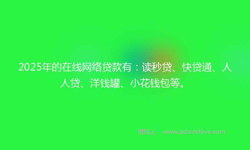 2025年的在线网络贷款有：读秒贷、快贷通、人人贷、洋钱罐、小花钱包等。