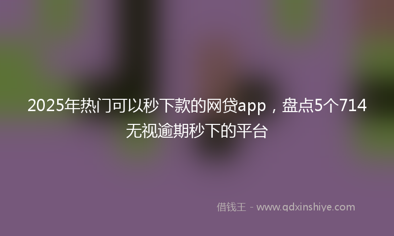 2025年热门可以秒下款的网贷app，盘点5个714无视逾期秒下的平台
