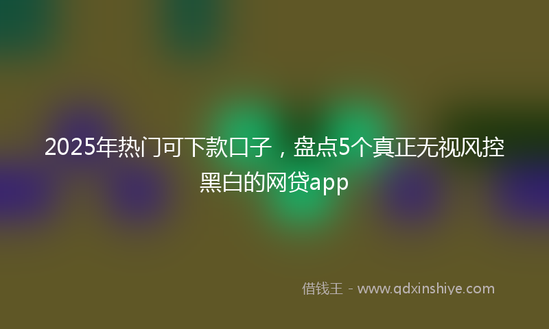 2025年热门可下款口子，盘点5个真正无视风控黑白的网贷app