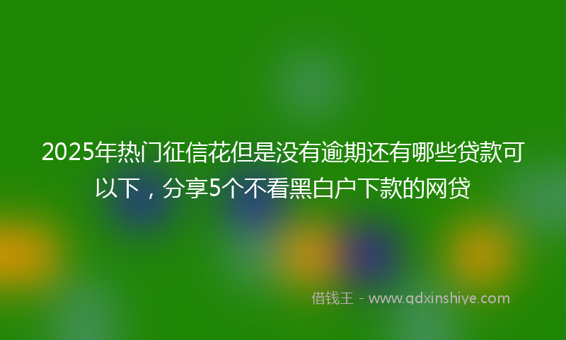 2025年热门征信花但是没有逾期还有哪些贷款可以下，分享5个不看黑白户下款的网贷