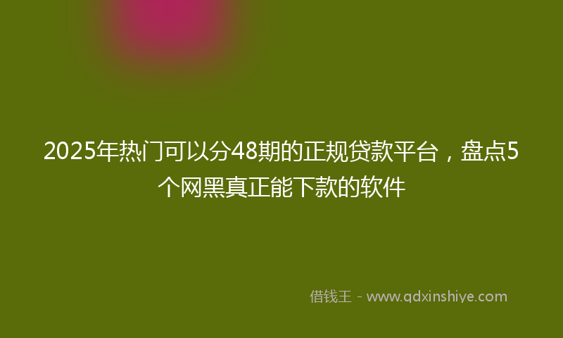 2025年热门可以分48期的正规贷款平台，盘点5个网黑真正能下款的软件