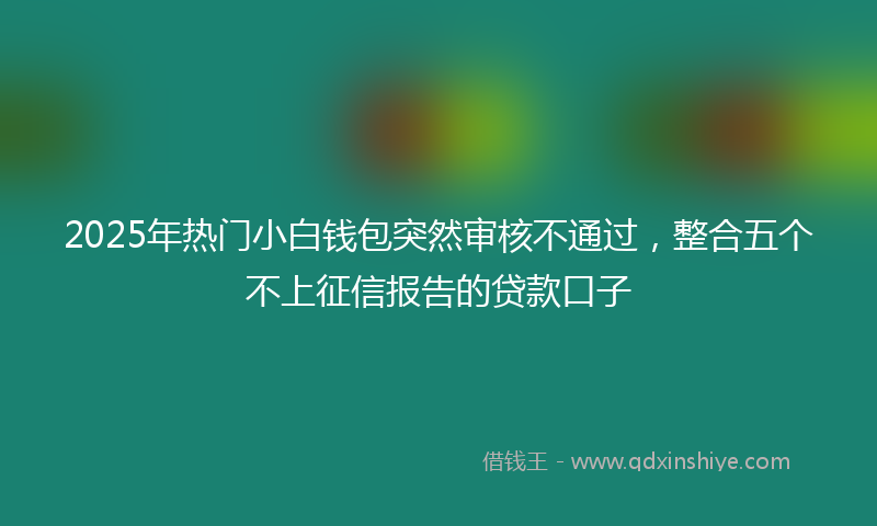 2025年热门小白钱包突然审核不通过，整合五个不上征信报告的贷款口子