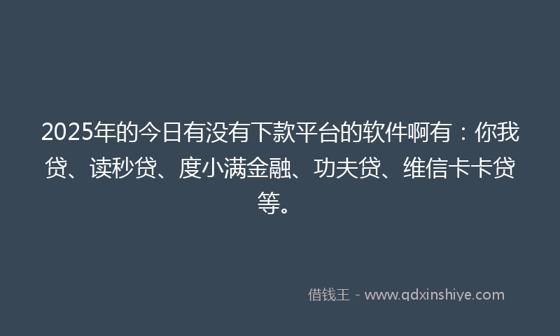 2025年的今日有没有下款平台的软件啊有：你我贷、读秒贷、度小满金融、功夫贷、维信卡卡贷等。