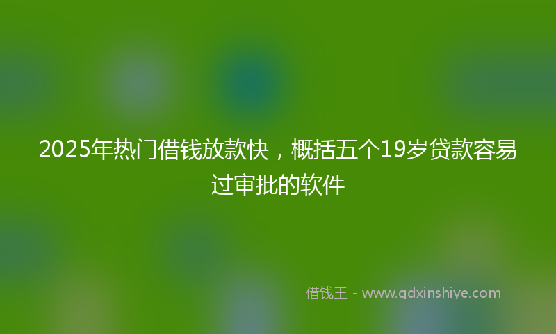 2025年热门借钱放款快，概括五个19岁贷款容易过审批的软件