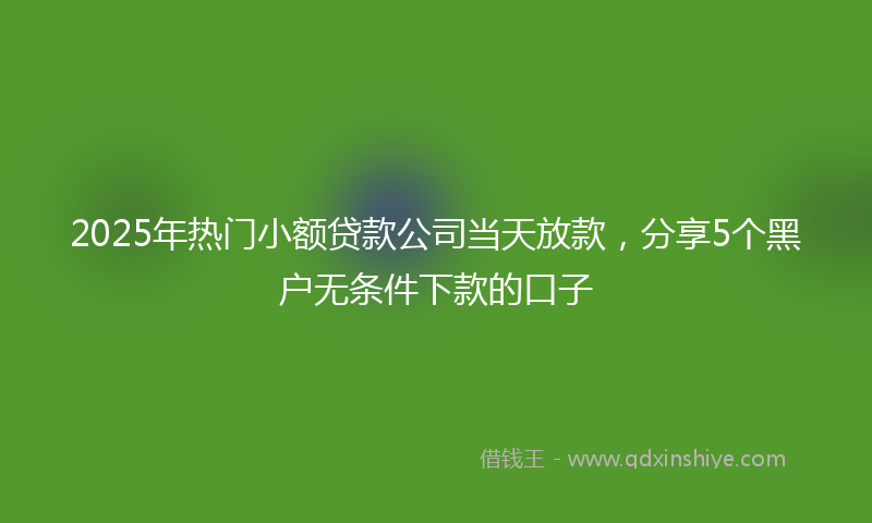 2025年热门小额贷款公司当天放款，分享5个黑户无条件下款的口子