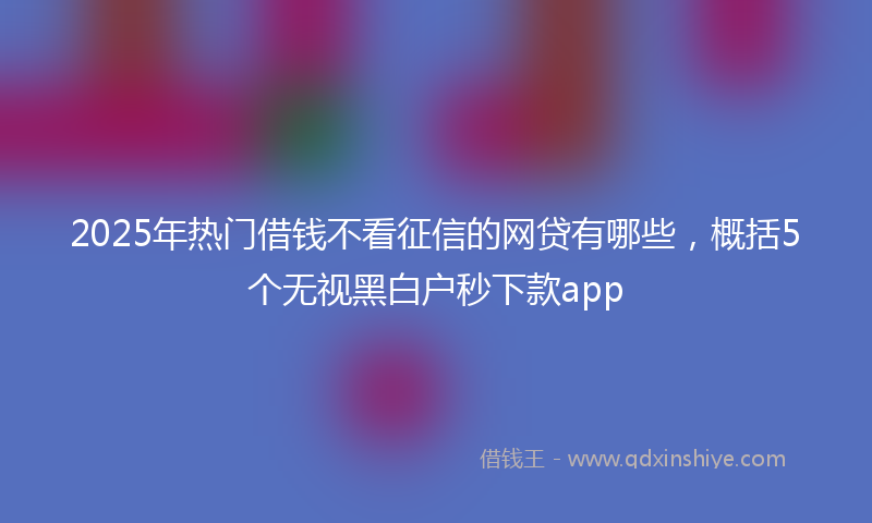 2025年热门借钱不看征信的网贷有哪些，概括5个无视黑白户秒下款app