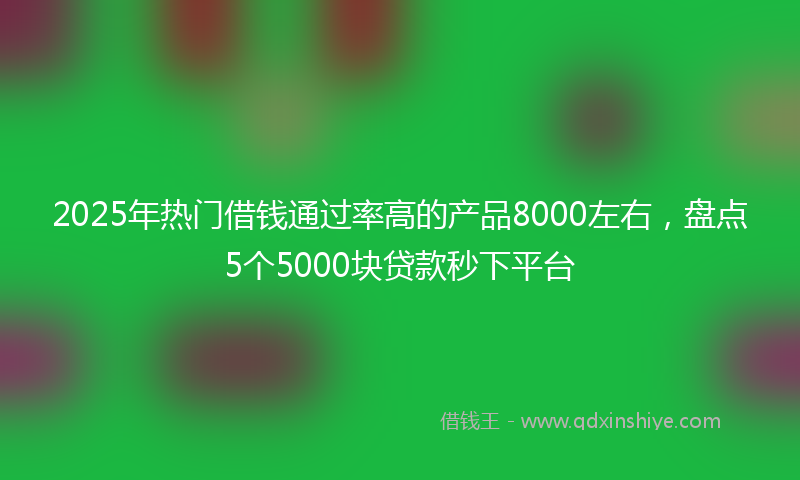 2025年热门借钱通过率高的产品8000左右，盘点5个5000块贷款秒下平台