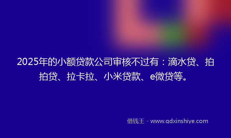 2025年的小额贷款公司审核不过有：滴水贷、拍拍贷、拉卡拉、小米贷款、e微贷等。
