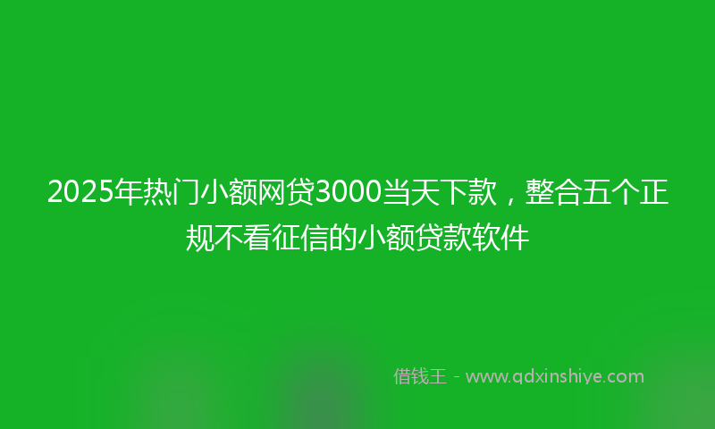 2025年热门小额网贷3000当天下款，整合五个正规不看征信的小额贷款软件
