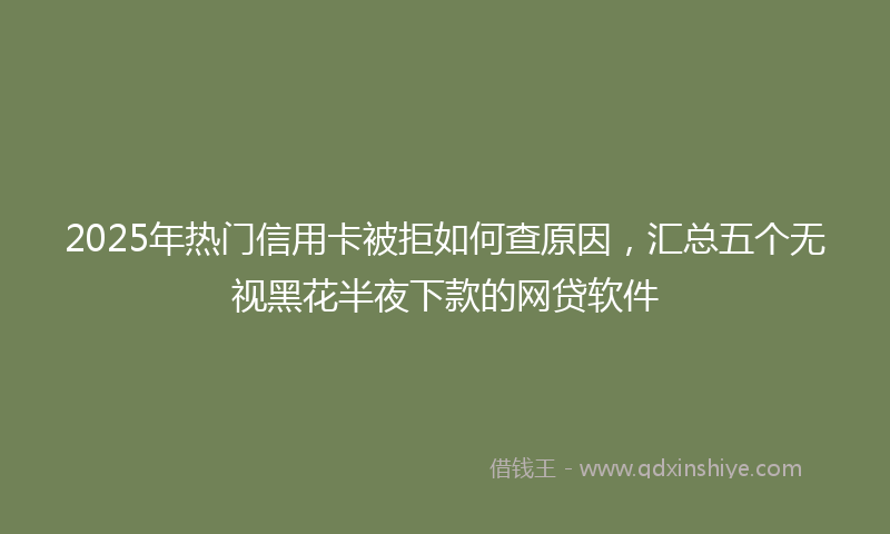 2025年热门信用卡被拒如何查原因，汇总五个无视黑花半夜下款的网贷软件
