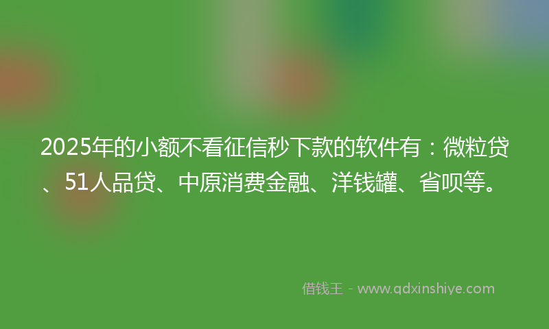 2025年的小额不看征信秒下款的软件有：微粒贷、51人品贷、中原消费金融、洋钱罐、省呗等。