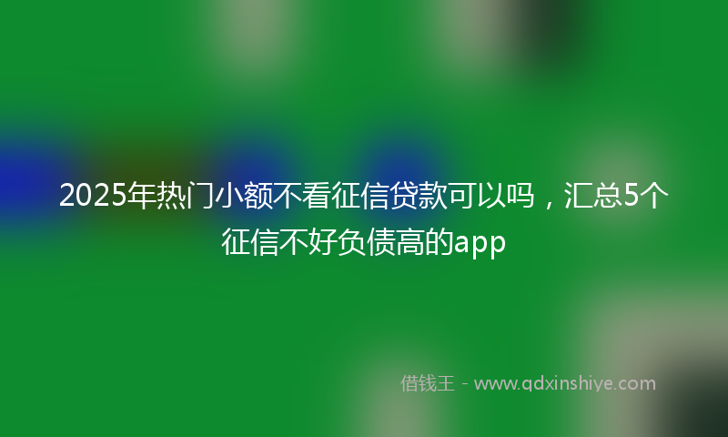 2025年热门小额不看征信贷款可以吗，汇总5个征信不好负债高的app