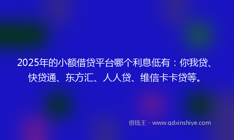 2025年的小额借贷平台哪个利息低有：你我贷、快贷通、东方汇、人人贷、维信卡卡贷等。