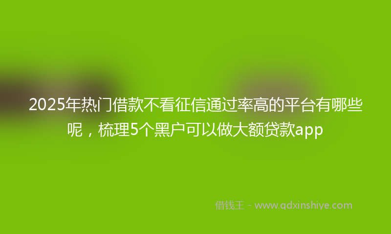 2025年热门借款不看征信通过率高的平台有哪些呢，梳理5个黑户可以做大额贷款app