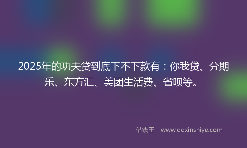 2025年的功夫贷到底下不下款有：你我贷、分期乐、东方汇、美团生活费、省呗等。
