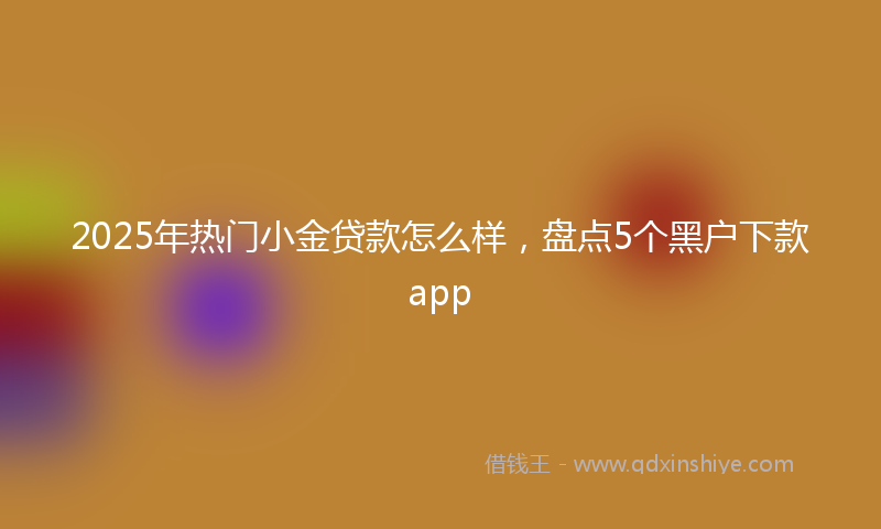 2025年热门小金贷款怎么样，盘点5个黑户下款app