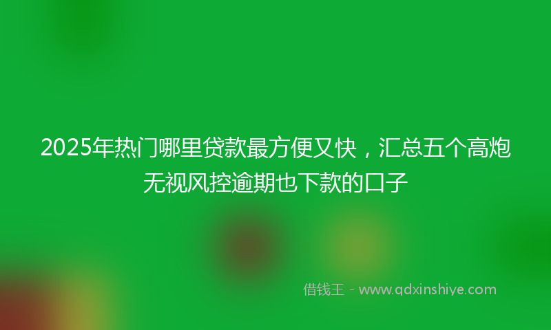 2025年热门哪里贷款最方便又快，汇总五个高炮无视风控逾期也下款的口子