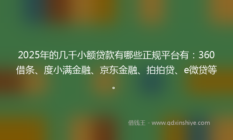 2025年的几千小额贷款有哪些正规平台有：360借条、度小满金融、京东金融、拍拍贷、e微贷等。
