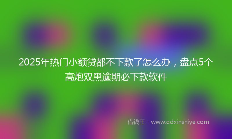 2025年热门小额贷都不下款了怎么办，盘点5个高炮双黑逾期必下款软件