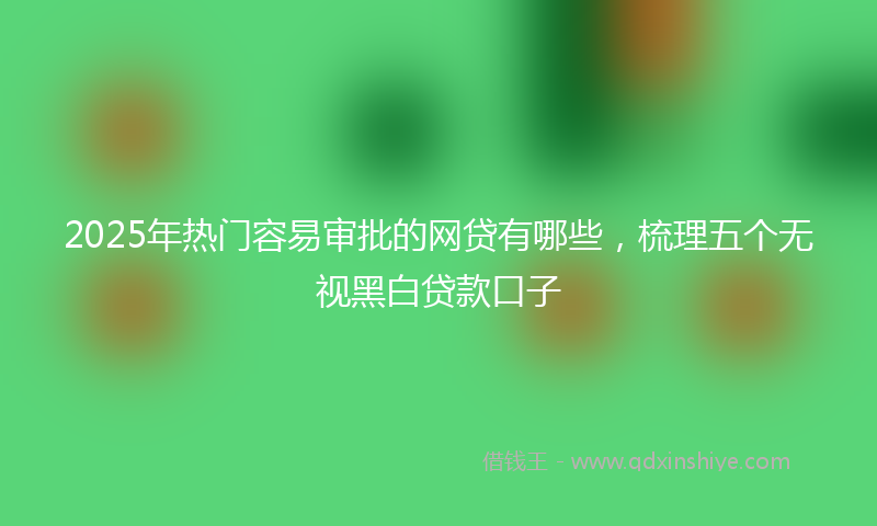 2025年热门容易审批的网贷有哪些，梳理五个无视黑白贷款口子