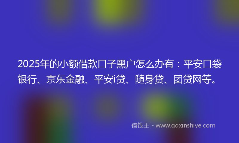2025年的小额借款口子黑户怎么办有：平安口袋银行、京东金融、平安i贷、随身贷、团贷网等。
