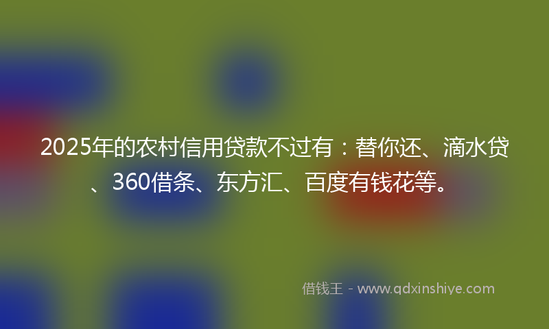 2025年的农村信用贷款不过有：替你还、滴水贷、360借条、东方汇、百度有钱花等。
