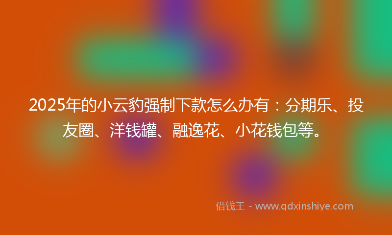 2025年的小云豹强制下款怎么办有：分期乐、投友圈、洋钱罐、融逸花、小花钱包等。