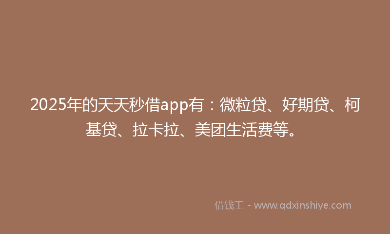 2025年的天天秒借app有：微粒贷、好期贷、柯基贷、拉卡拉、美团生活费等。