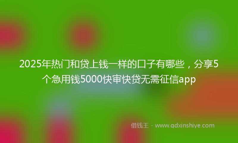 2025年热门和贷上钱一样的口子有哪些，分享5个急用钱5000快审快贷无需征信app