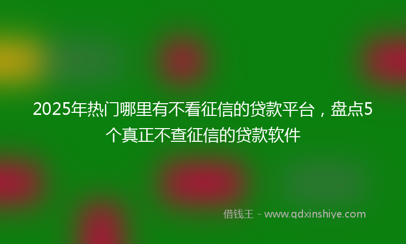 2025年热门哪里有不看征信的贷款平台，盘点5个真正不查征信的贷款软件