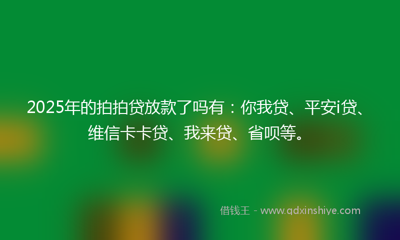 2025年的拍拍贷放款了吗有：你我贷、平安i贷、维信卡卡贷、我来贷、省呗等。