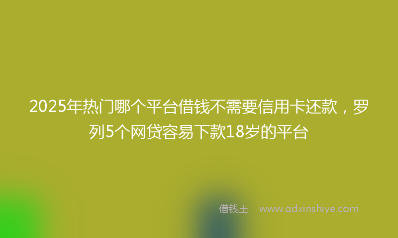 2025年热门哪个平台借钱不需要信用卡还款，罗列5个网贷容易下款18岁的平台