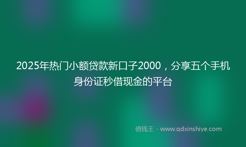 2025年热门小额贷款新口子2000，分享五个手机身份证秒借现金的平台