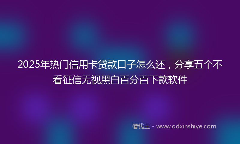 2025年热门信用卡贷款口子怎么还，分享五个不看征信无视黑白百分百下款软件